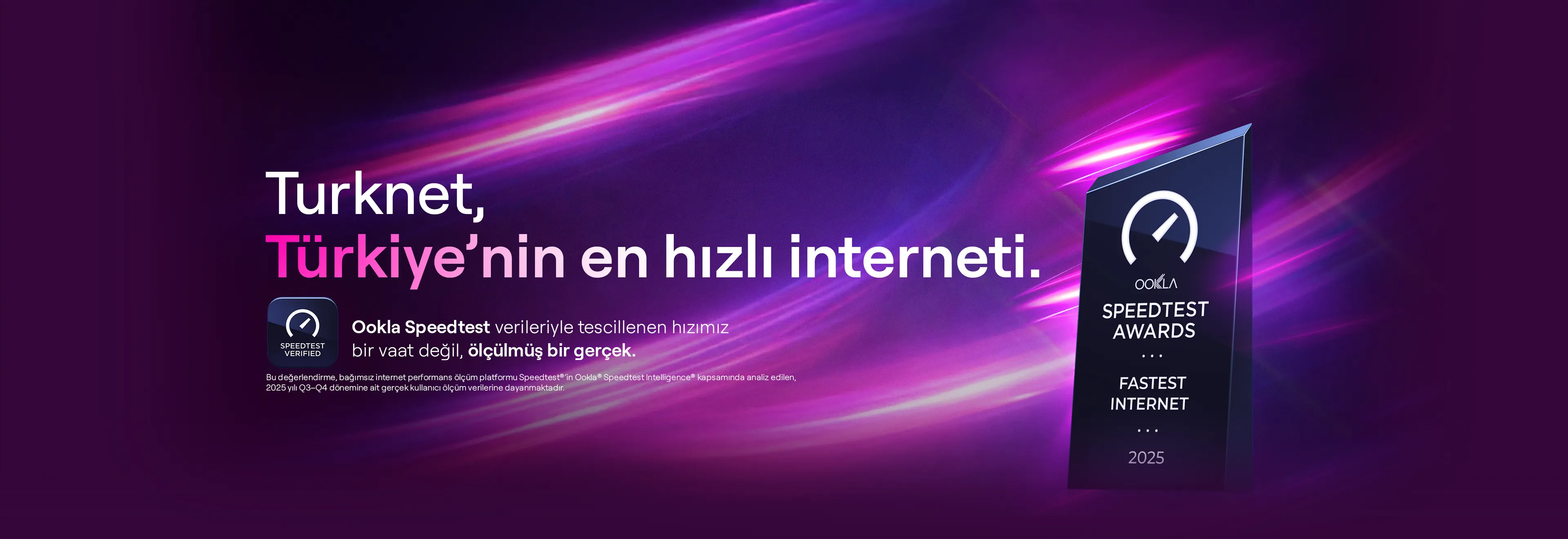 Turknet Alt Yapı Sorgulama