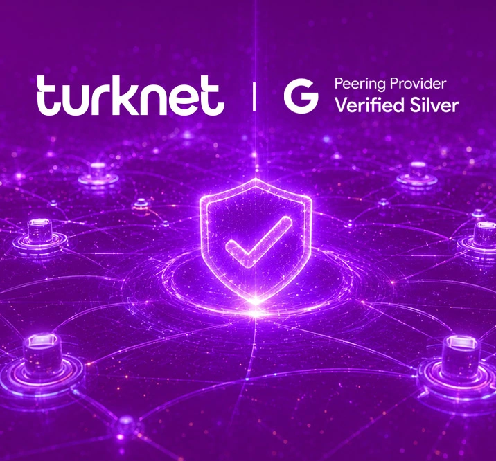Digital globe with glowing network connections representing TurkNet global expansion